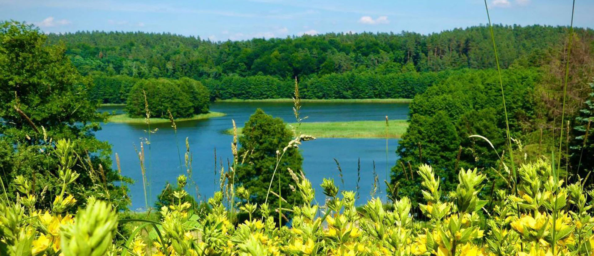 Zdjęcie okolicy, jezioro, zielona łąka.
