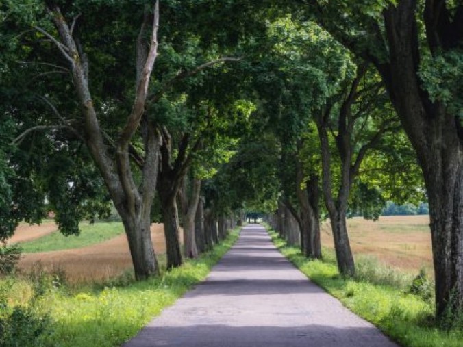 Warmian landscape road